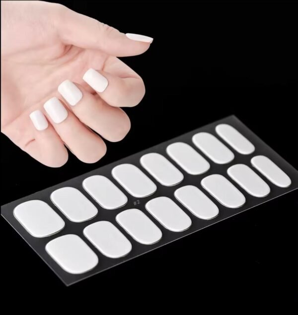 Imagen de WhatsApp 2025-11-26 a las 00.26.38_cf9e1d4b Colores enteros